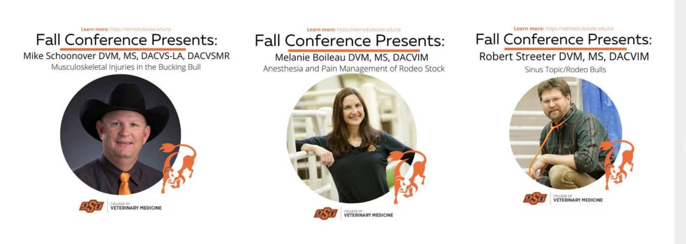 OSU College of Vet Med offers Rodeo Stock Specials Topic at Virtual Fall Conference 