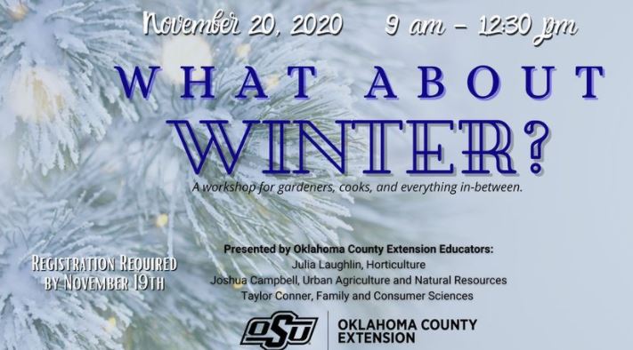 OSU Extension Offering Workshop: Four Seasons Living: What about Winter?