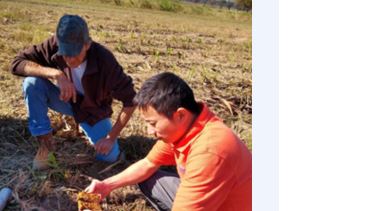 Clemson Researcher Studies Organic Agriculture Soil Challenges  
