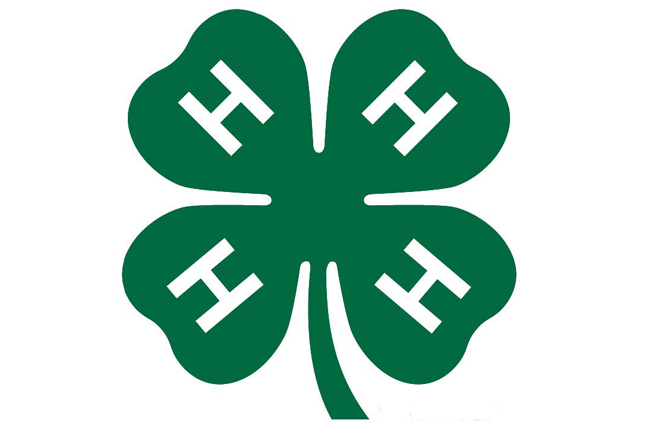 National 4-H Council Awarded $3 Million to Support 4-H at Home