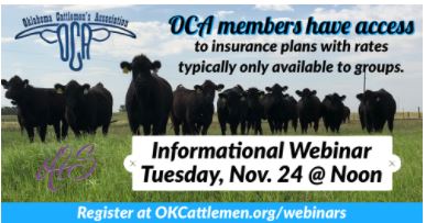 Learn About the Health Insurance available to OCA Members at Webinar Tuesday, Nov 24