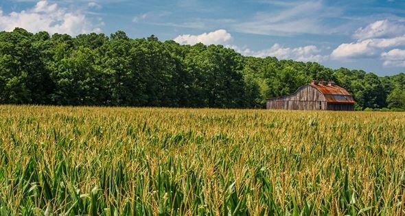 Legislation Seeking to Curb Rising Rural Suicide Rate Approved by Congress