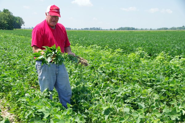 Soybeans Can be Used to Seal Concrete And Make Better Shoes, Says United Soybean Board Chairman Jim Carroll