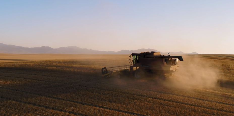 New Film Features the Dependable People Who Maintain U.S. Wheat Export Reliability
