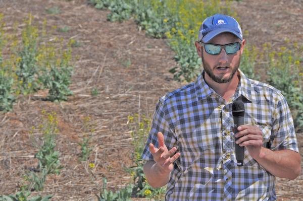 The 2020 Oklahoma Cotton Crop Was Good, But Could Have Been Better, Says OSU Extension Cotton Specialist Dr. Seth Byrd