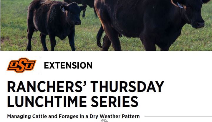 Rancher's Thursday Lunchtime Series - Managing Cattle and Forages in a Dry Weather Pattern