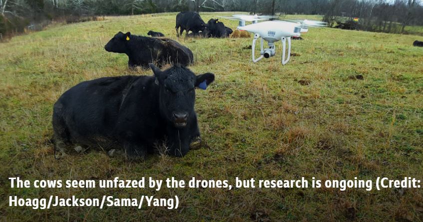 The Drones Watching over Cattle where Cowboys Cannot Reach