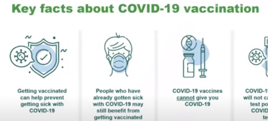 January Pork Producer Webinar Recap: COVID-19 Vaccine 