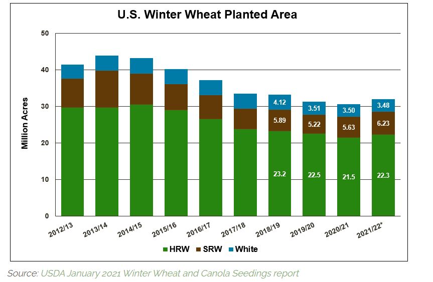 Favorable Weather and Strong Income Potential Support Winter Wheat Seeding for 2021