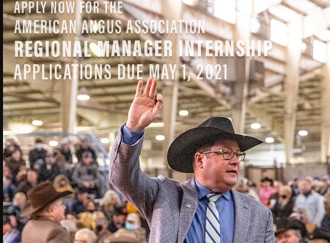 Angus Announces New Regional Manager Internship for Fall 2021