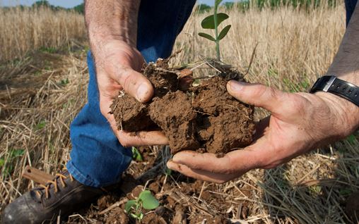 Partnering with the Soil Health Institute Benefits Agriculture and the Environment