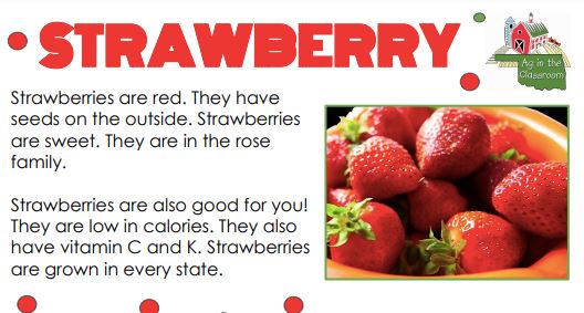 This Weeks Ag in the Classroom, Strawberries! 
