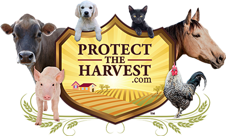 Advocacy Group Focused on Protecting Animals And Our Food Supply