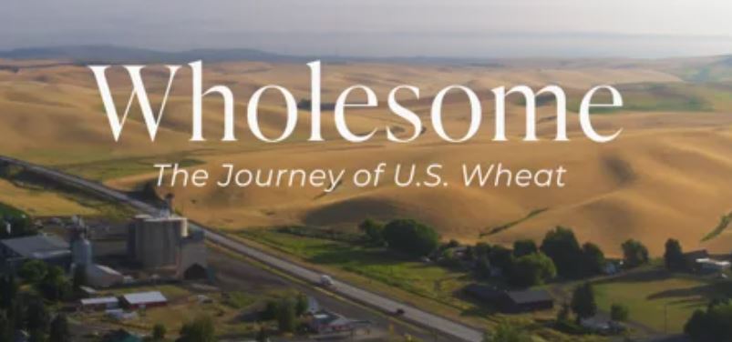 Global Audience Watching Wholesome: The Journey of U.S. Wheat Film