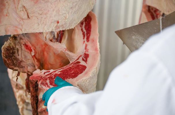 Ensuring Meat Processing Safety in These Challenging Times