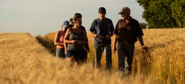 Dependable People. Reliable Wheat. - A New Fact Sheet from U.S. Wheat Associates