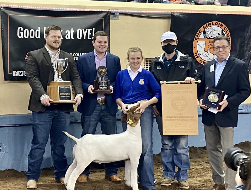 Oklahoma Farm Report OYE Sale of Champions Sale Order Announced for