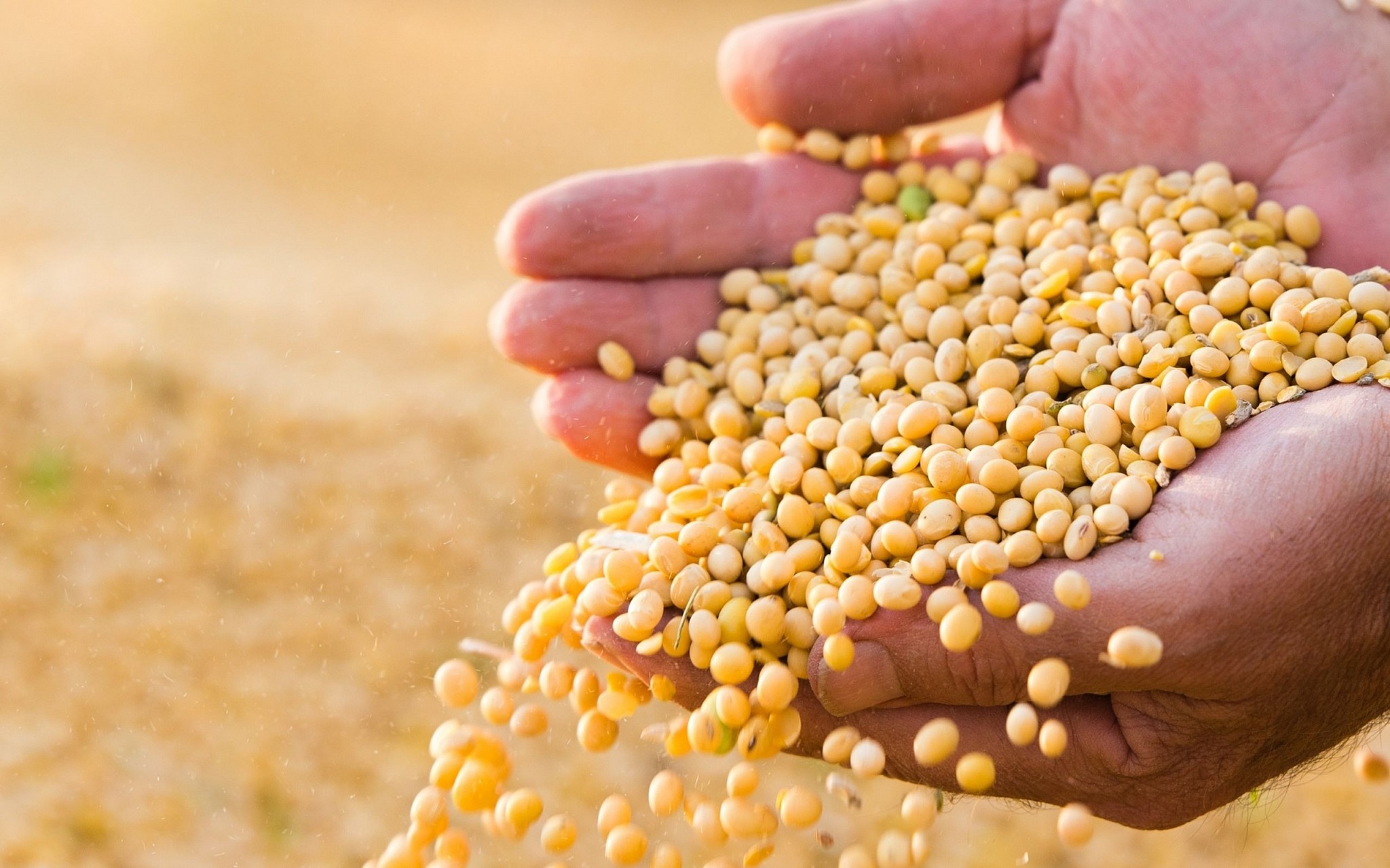 Soy Checkoff Research Shows Strong Trust in U.S. Farmers