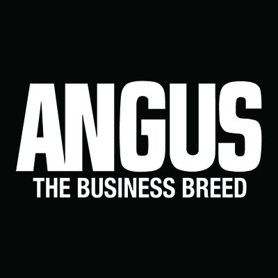 Angus Foundation Scholarship Applications Open Now