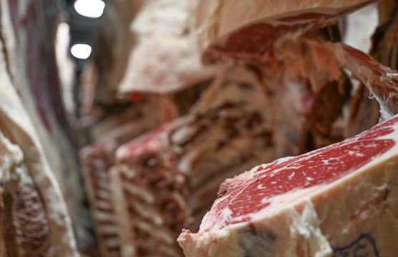 Where Premiums are Earned, Understanding Beef Carcass Value 