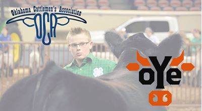Oklahoma Cattlemen Invest in Oklahoma's Agricultural Youth