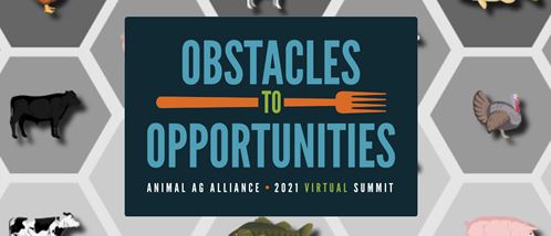 Rethink methane and change the narrative around Animal ag and the Environment at the 2021 Virtual Summit