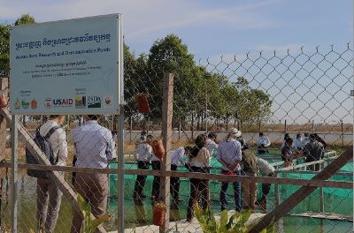 A Swimming Opportunity for Soy! WISHH & KSU Advance Cambodian Aquaculture with Soy Feeds 