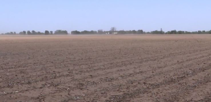 Cotton Farmers Hope for Rain Ahead of Planting Season