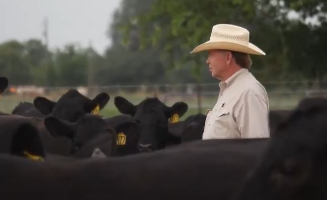 Texas cattleman Bodey Langford Discusses value in Quality and the Angus Breed