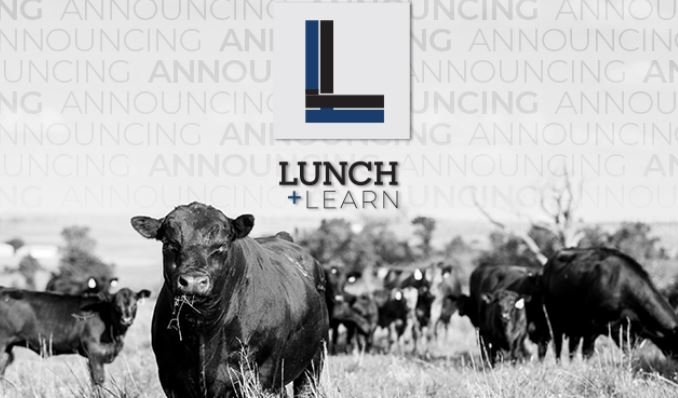 Summer Lunch and Learn Sessions from the  American Angus Association 