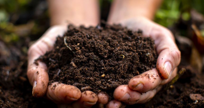 Festival to Highlight benefits of Composting