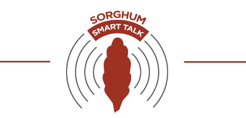 Sorghum Smart Talk Episode Up with Branson Lipps, Former deputy Undersecretary at the U.S. Department of Agriculture, 