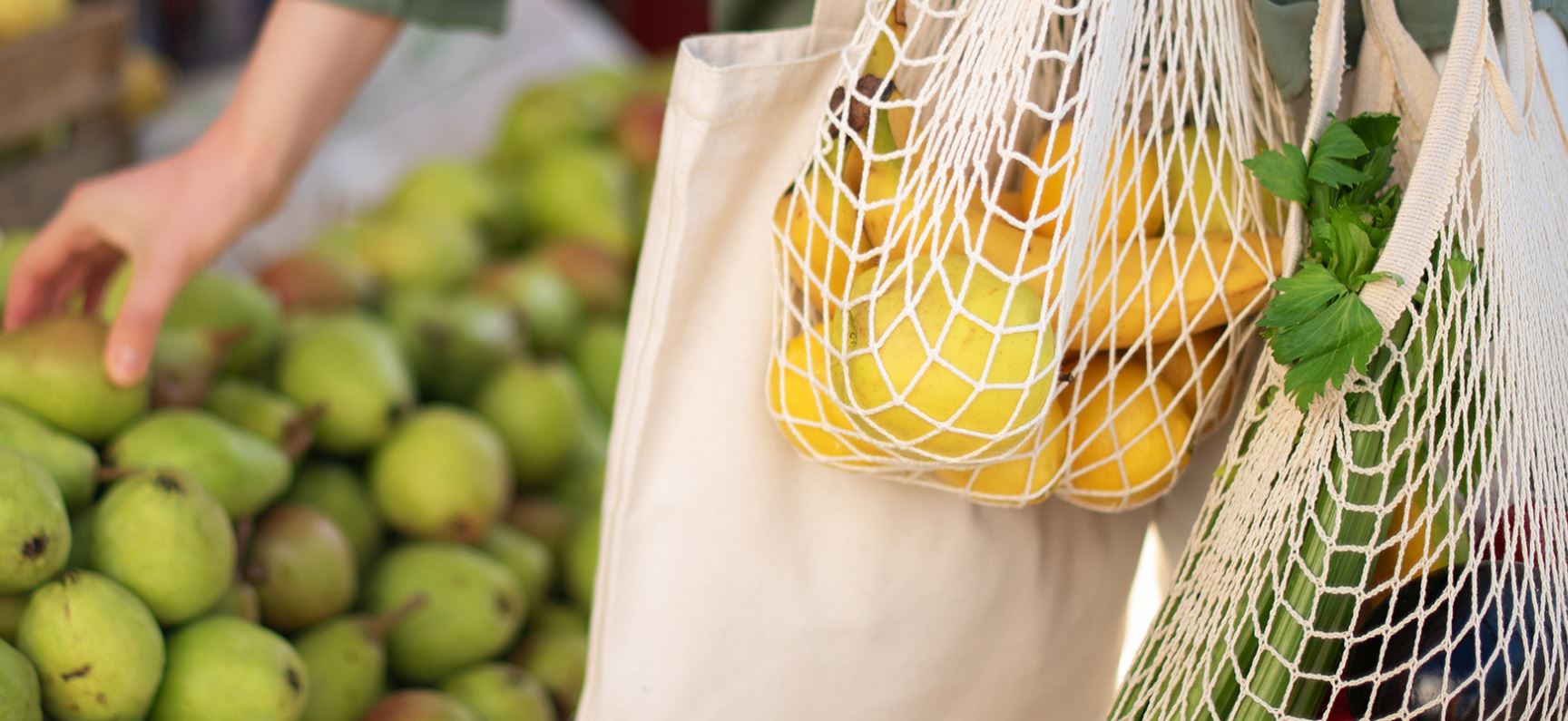 Reusable Totes Can Carry Health Risks With Groceries
