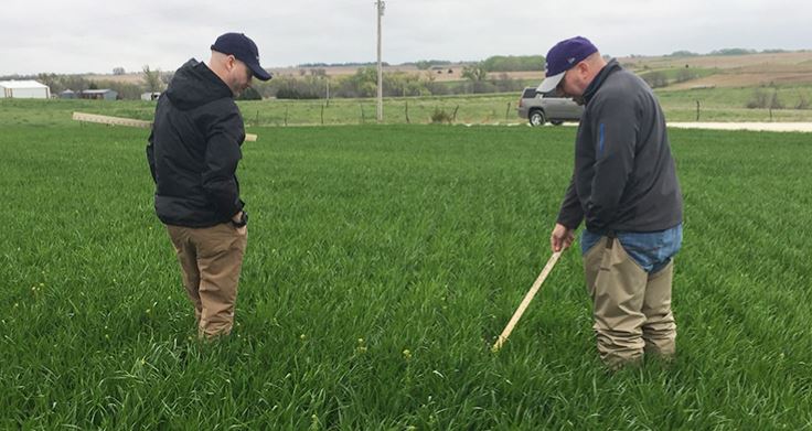 What Did the 2021 Hard Winter Wheat Tour Find?