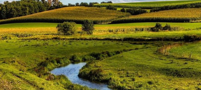 Water Rule Reversal a Blow to Agriculture