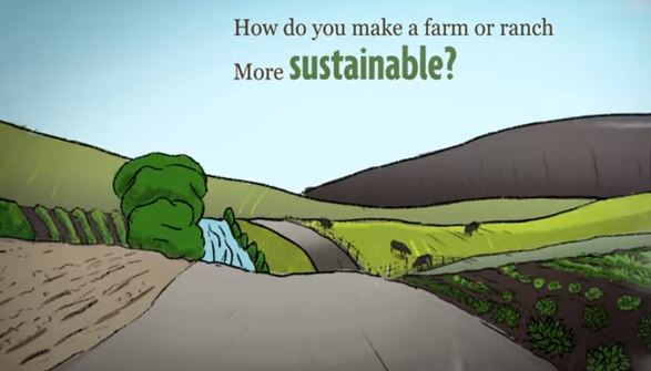 New Sustainable Grazing and Pasture Management Video from SARE