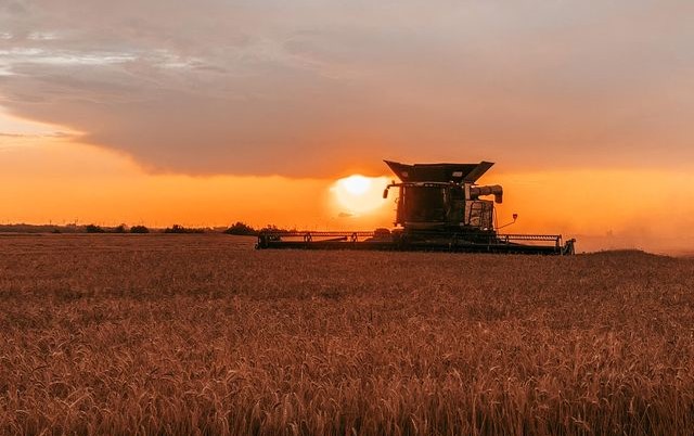 Plains Grains Reports Start of Kansas Wheat Harvest- And Full Speed Ahead in Oklahoma