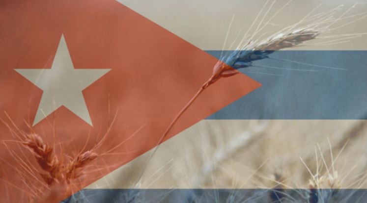 Only an Act of Congress Can Open the Cuban Wheat Market