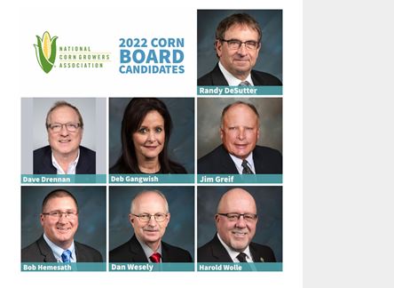Be an Informed Voter! Meet the FY22 Corn Board Candidates