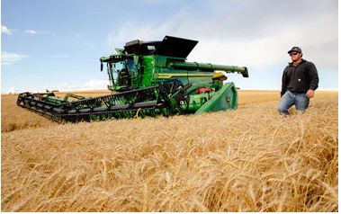 A Season in Review: Producers Discuss Yields, Challenges of Late Wheat Harvest 