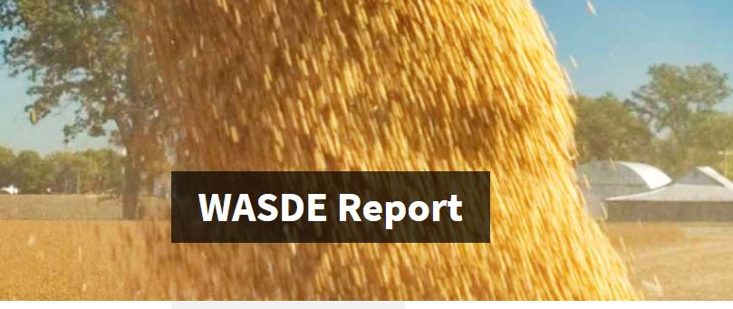 USDA Increases Corn Production in July WASDE