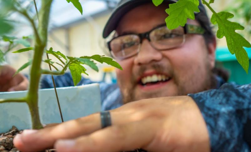 Graduate Student First to Use Aquaponics With Grafted Plants