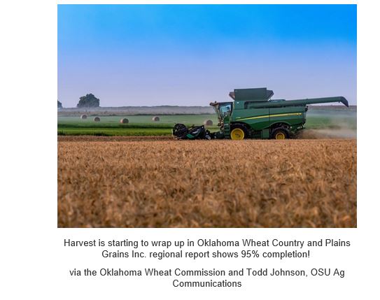 USW Weekly Harvest Report for July 16, 2021