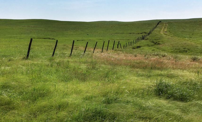 Producers may Benefit from CRP Grasslands Signup 
