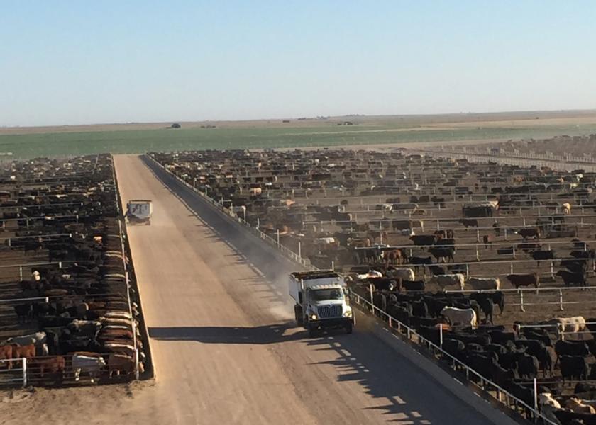 TCFA Chairman Scott Anderson of Guymon Optimistic About What's Ahead for Feedlots in Southern Plains