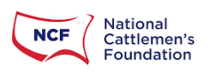 Kinzie Burtrum of Stillwater Recognized by National Cattlemen's Foundation  for Scholarship