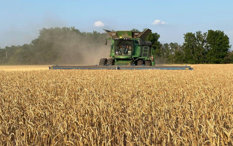 US Wheat Associates Weekly Harvest Report for August 13, 2021