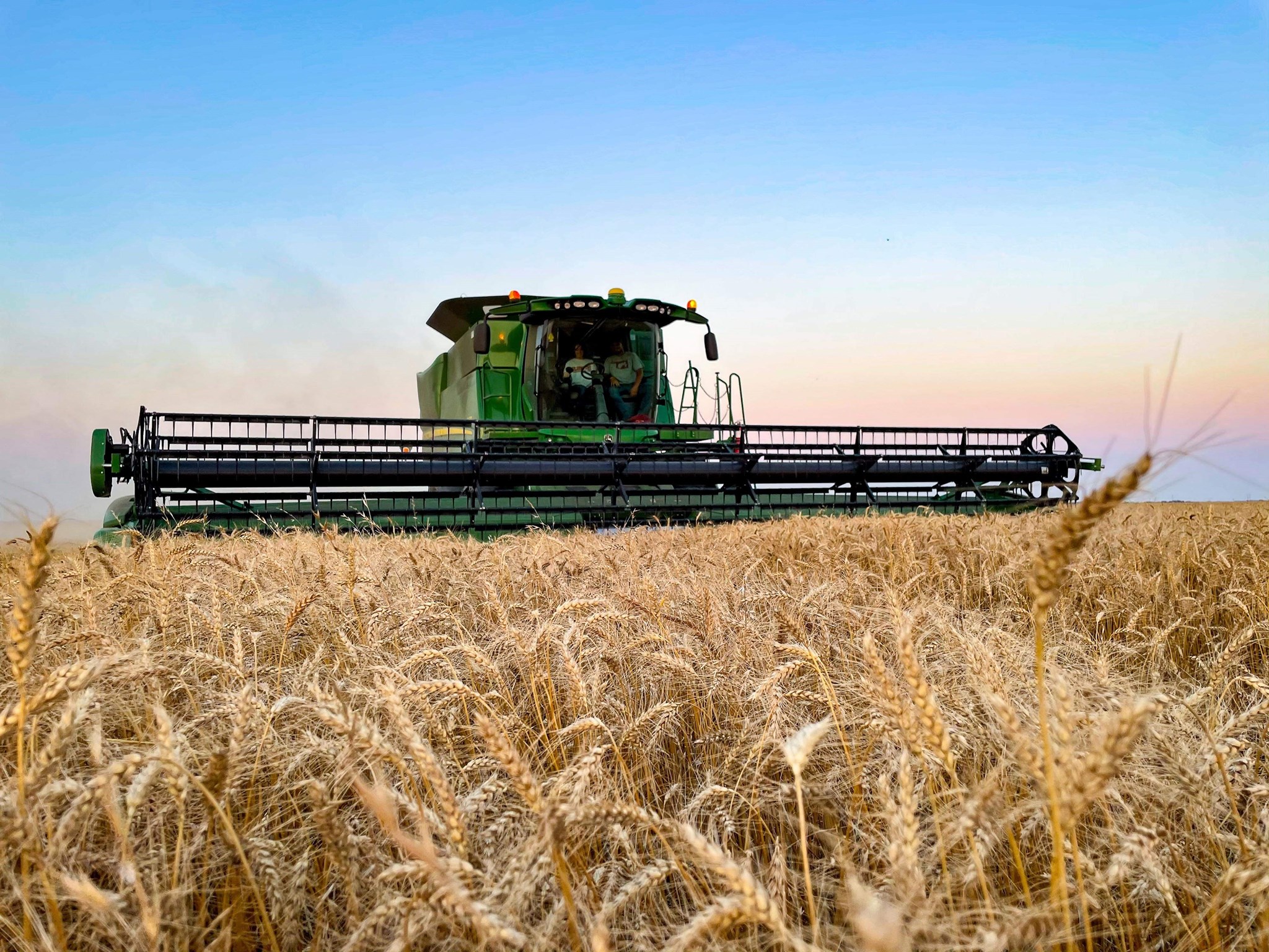 Plains Grains Reports Winter Wheat Harvest Virtually Complete- South to North and to the Pacific