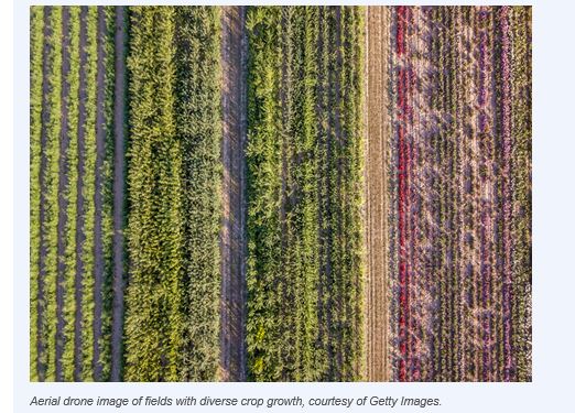 Diverse Landcover Boosts Yields for Major U.S. Crops