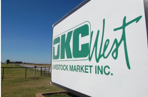 Feeder Steers Steady to Lower, Feeder Heifers Steady to Higher, Steer and Heifer Calves Lightly Tested at OKC West - El Reno